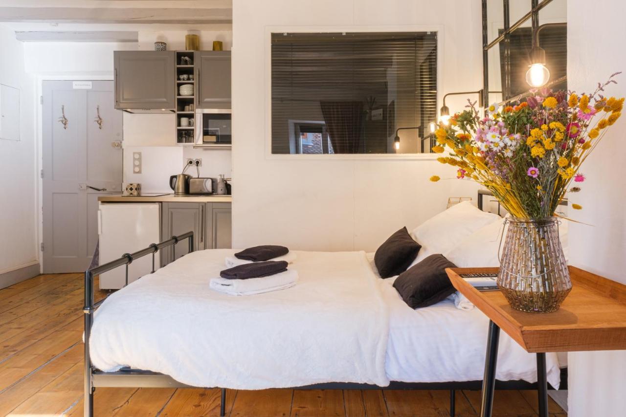 Au Grey D'Annecy, Studio Cosy Au Coeur De La Ville Exteriér fotografie